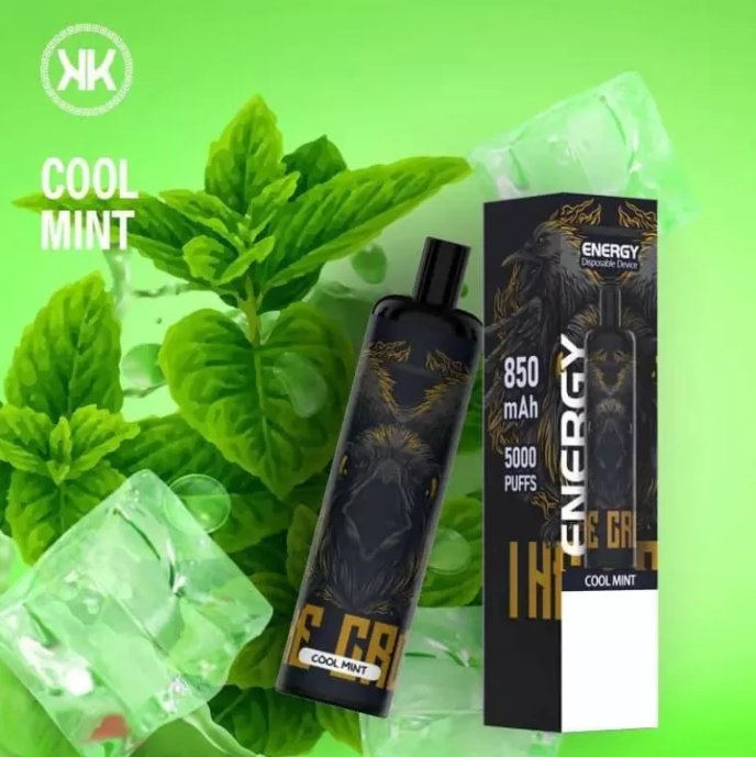 Epod Energy Vape 5000 Puffs Quick Charging 850mah Battery